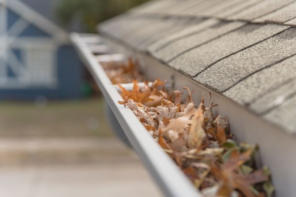 Leaf Barrier Installation in Westfield
