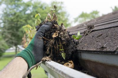Preventative Gutter Care